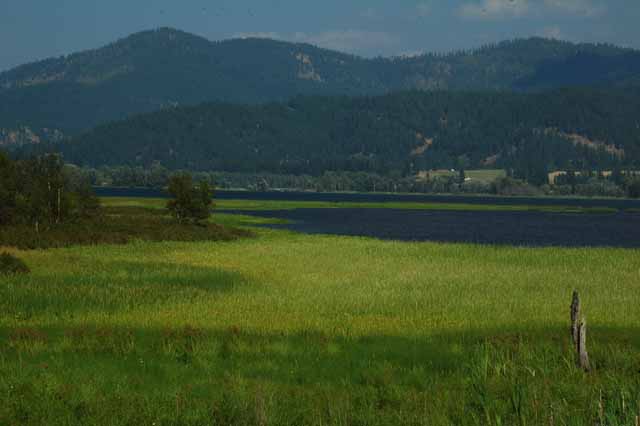 White Pines Scenic Byway